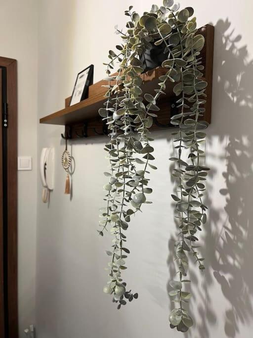 Luxury Prive Penthouse Apartment Serres Bagian luar foto